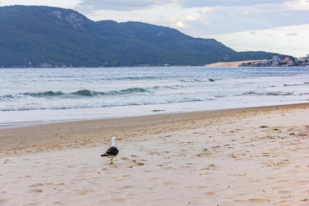Cobertura Com Vista Mar Para 6 Hospedes, 150 Metros Da Praia Dos Ingleses Ing17 Florianópolis Esterno foto